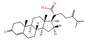 Chabrolosteroid E